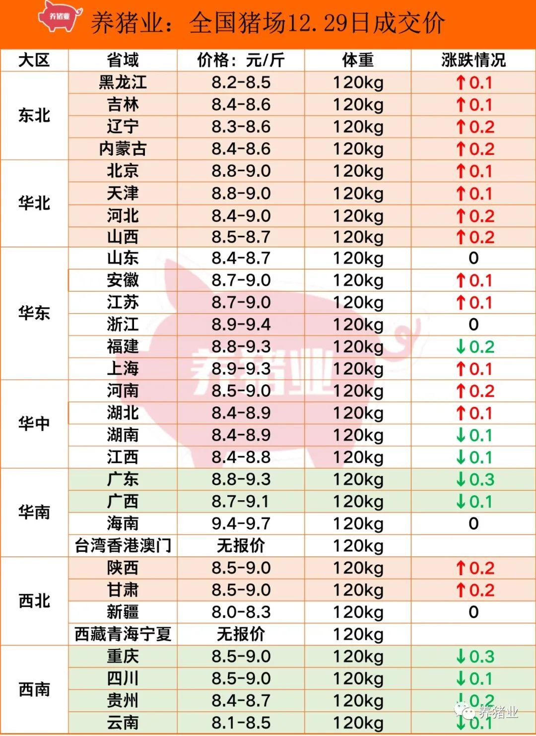 今日生猪价格动态解析与预测