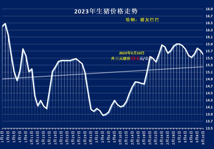 最新生猪价格行情解析