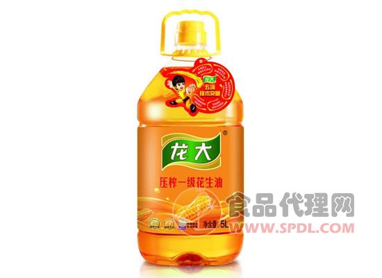 龙大花生油5L最新价格，品质与价值并重，实惠之选！