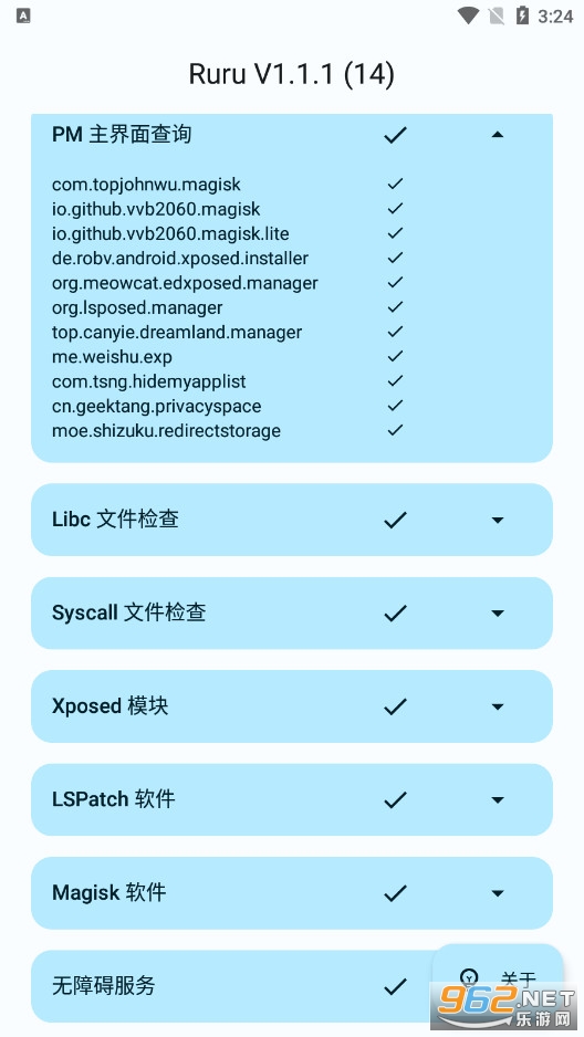 最新Ruru检测器v1.1，技术革新与全面检测的完美融合