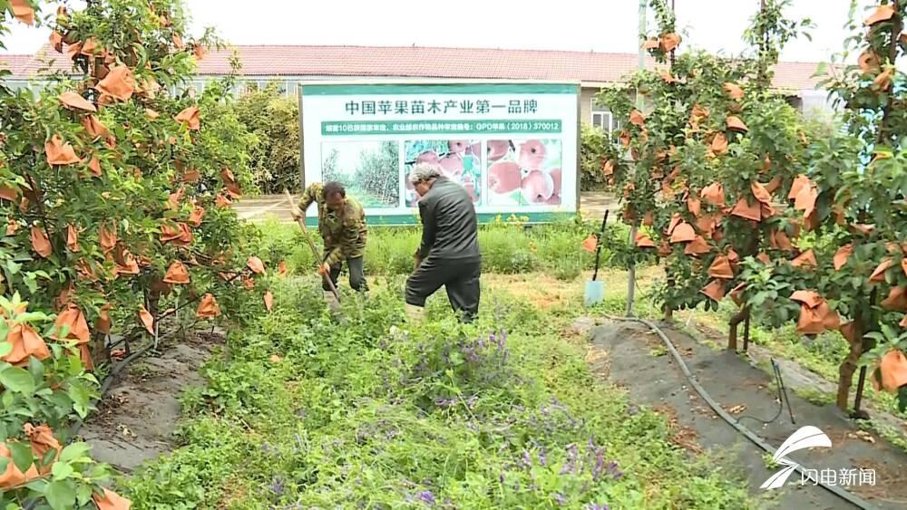 烟台东部新区蓬勃发展势头强劲，未来可期最新消息揭秘