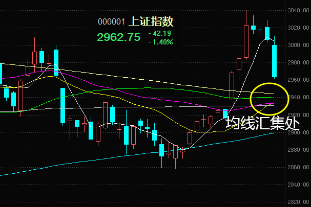 聚焦解读，今日最新净值查询——深入了解000248基金净值