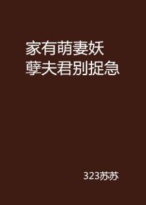 探寻情感世界的微妙变化，夫君们最新章节揭示的急迫与等待