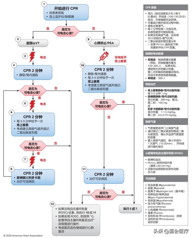 2024年11月22日