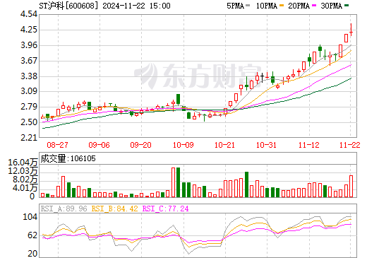 2024年11月23日 第2页