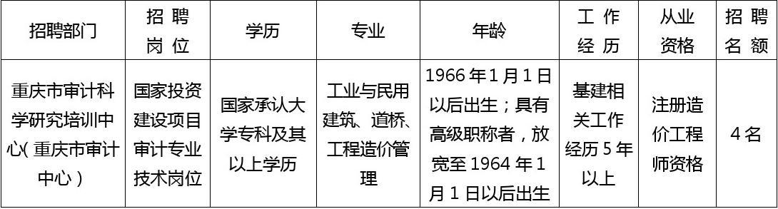 九龙坡区审计局招聘信息解读及最新招聘公告