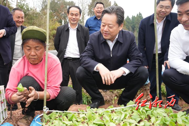 潭溪镇最新项目，地区发展璀璨明珠引领前行