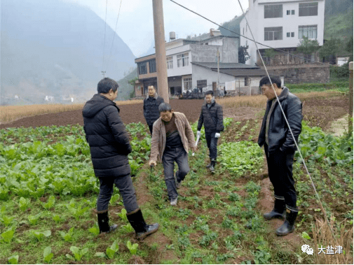 庙坝镇新项目，引领地区发展的强大动力源泉