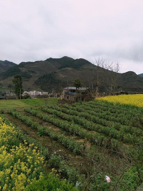 普文镇天气预报更新通知