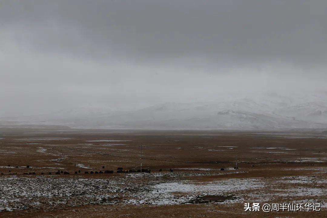 优云乡未来蓝图发展规划揭秘，塑造乡村新面貌