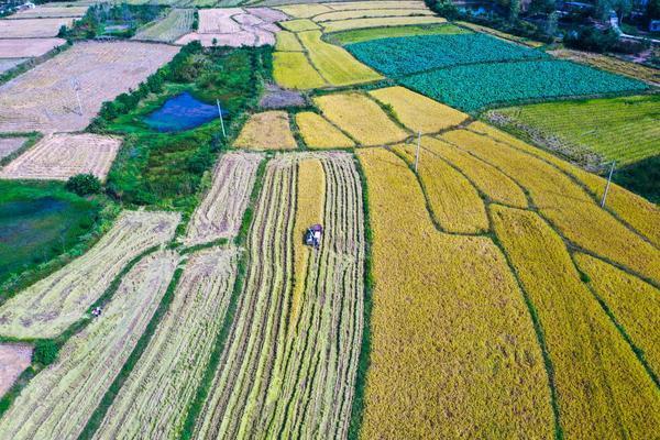 光山县住房和城乡建设局最新发展规划概览