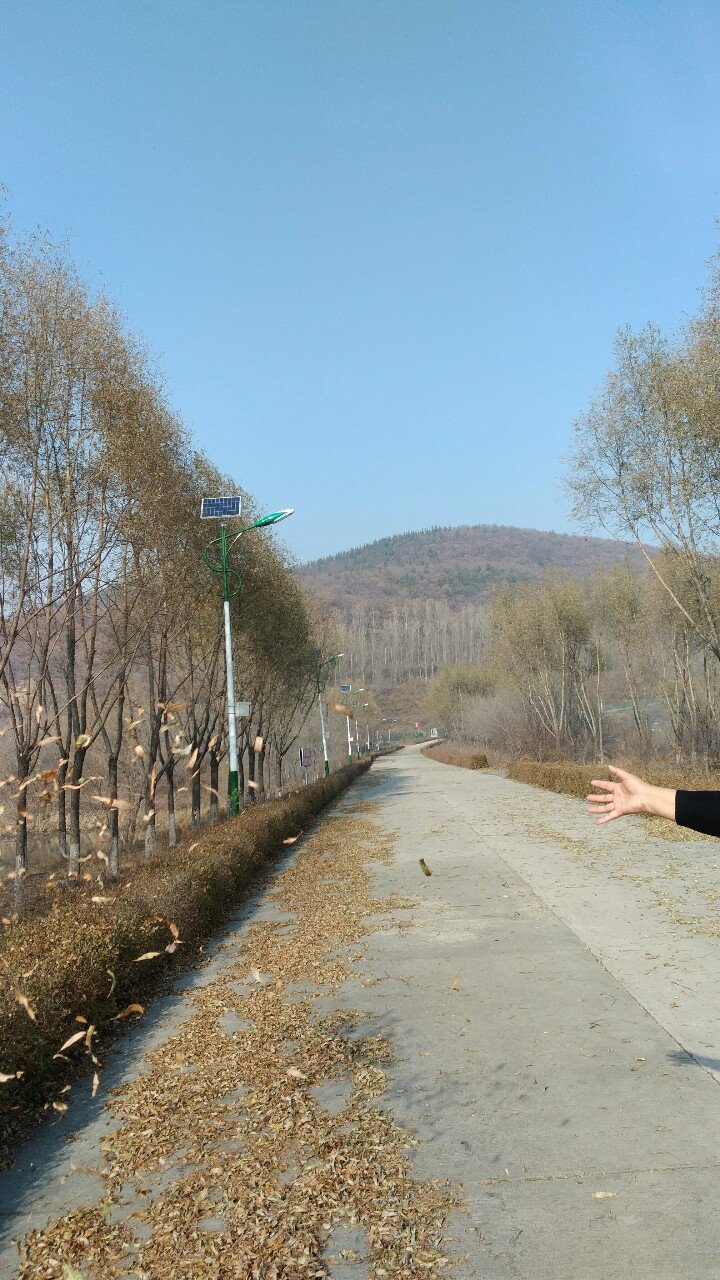 石河满族镇天气预报更新通知