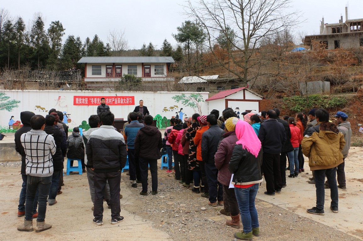 龙街镇领导团队引领地方发展新篇章