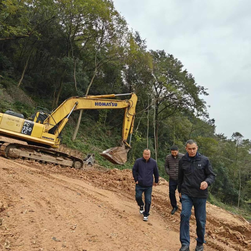 美峰林场最新交通动态报道